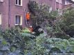 Foto: Feuerwehr Halberstadt