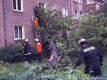 Foto: Feuerwehr Halberstadt