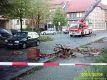 Zwei Fahrzeuge wurden durch herabstürzende Mauerteile beschädigtbrFoto: Feuerwehr Halberstadt