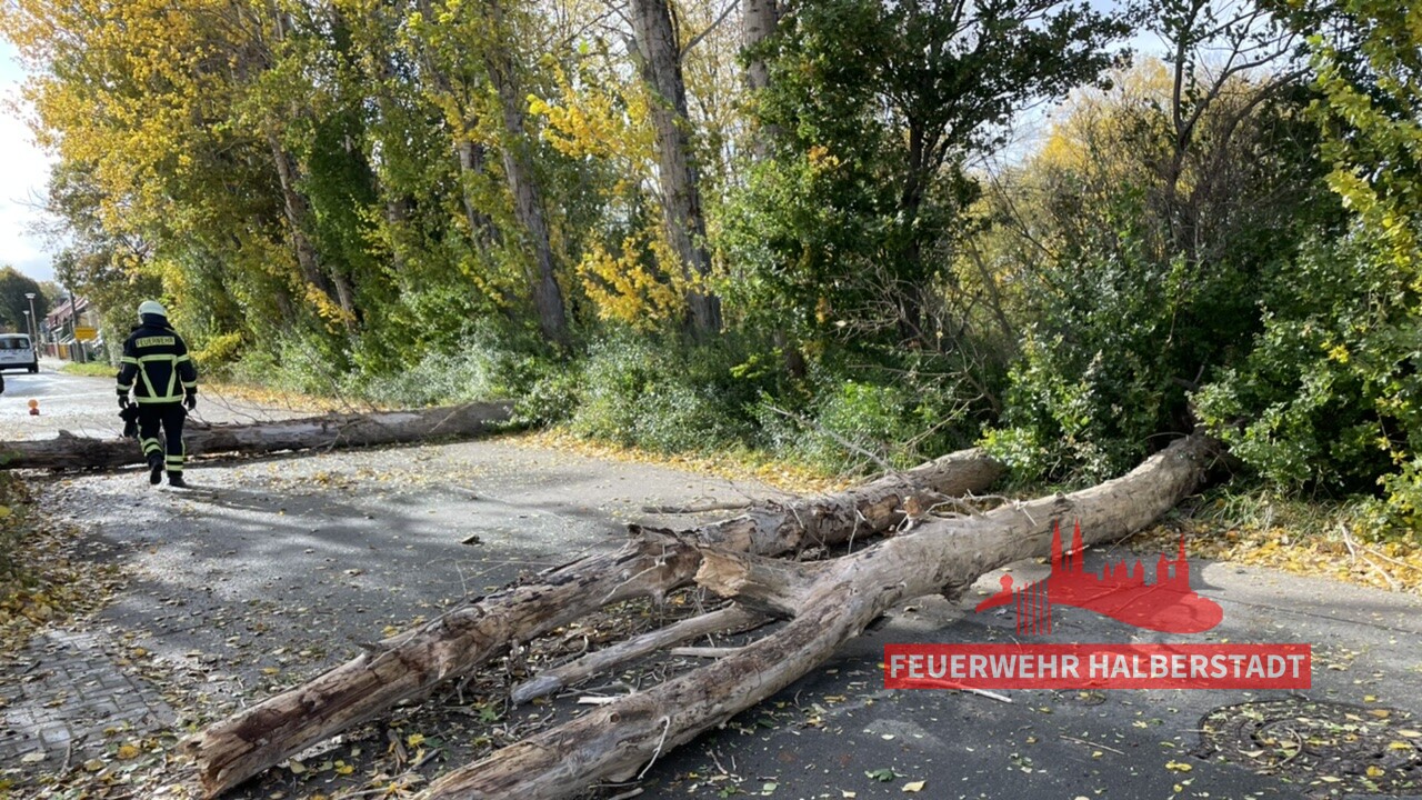 Mehrere Sturmeinsätze im Stadtgebiet