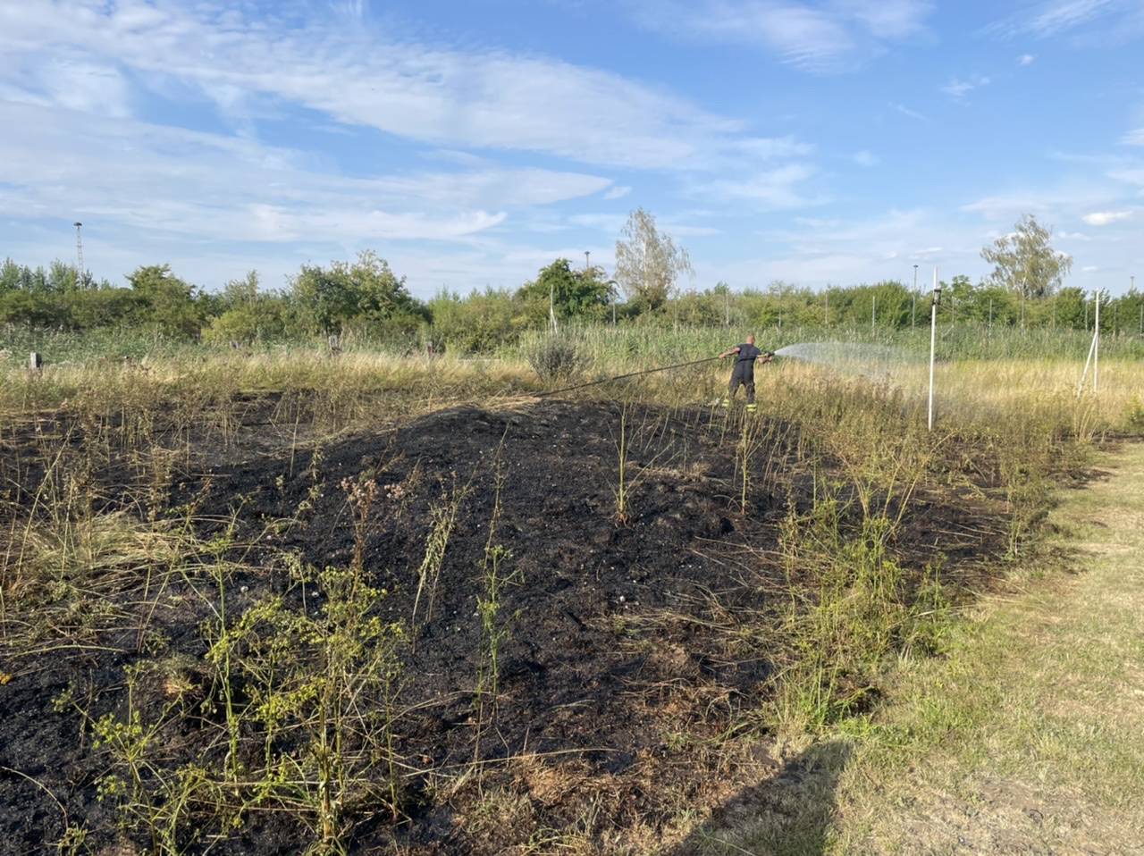 Flächenbrand Gartenanlage Dr. Hauschild WilhelmTrauteweinStraße